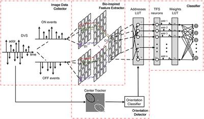 An Event-Based Neurobiological Recognition System with Orientation Detector for Objects in Multiple Orientations